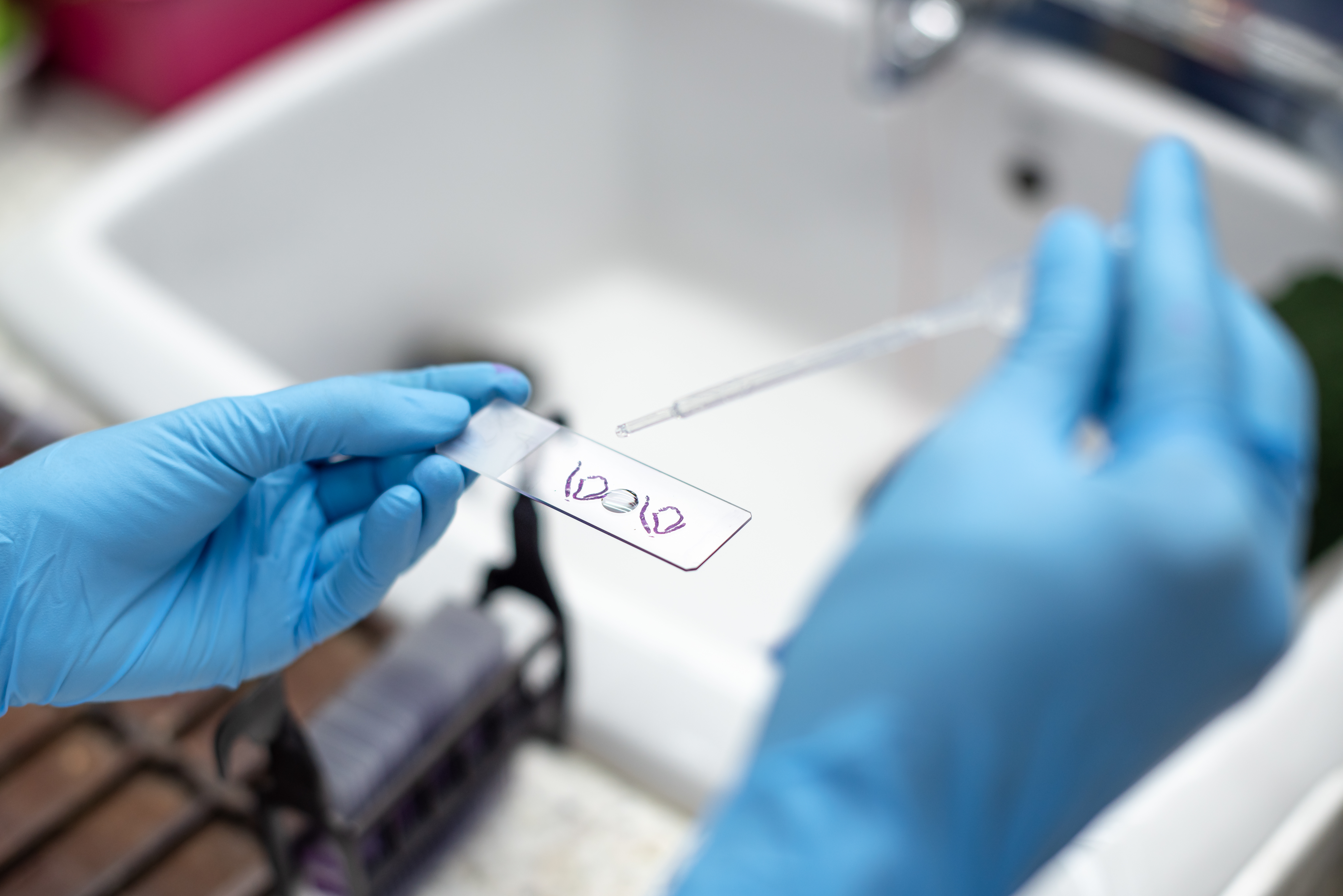 Rękawiczki lateksowe