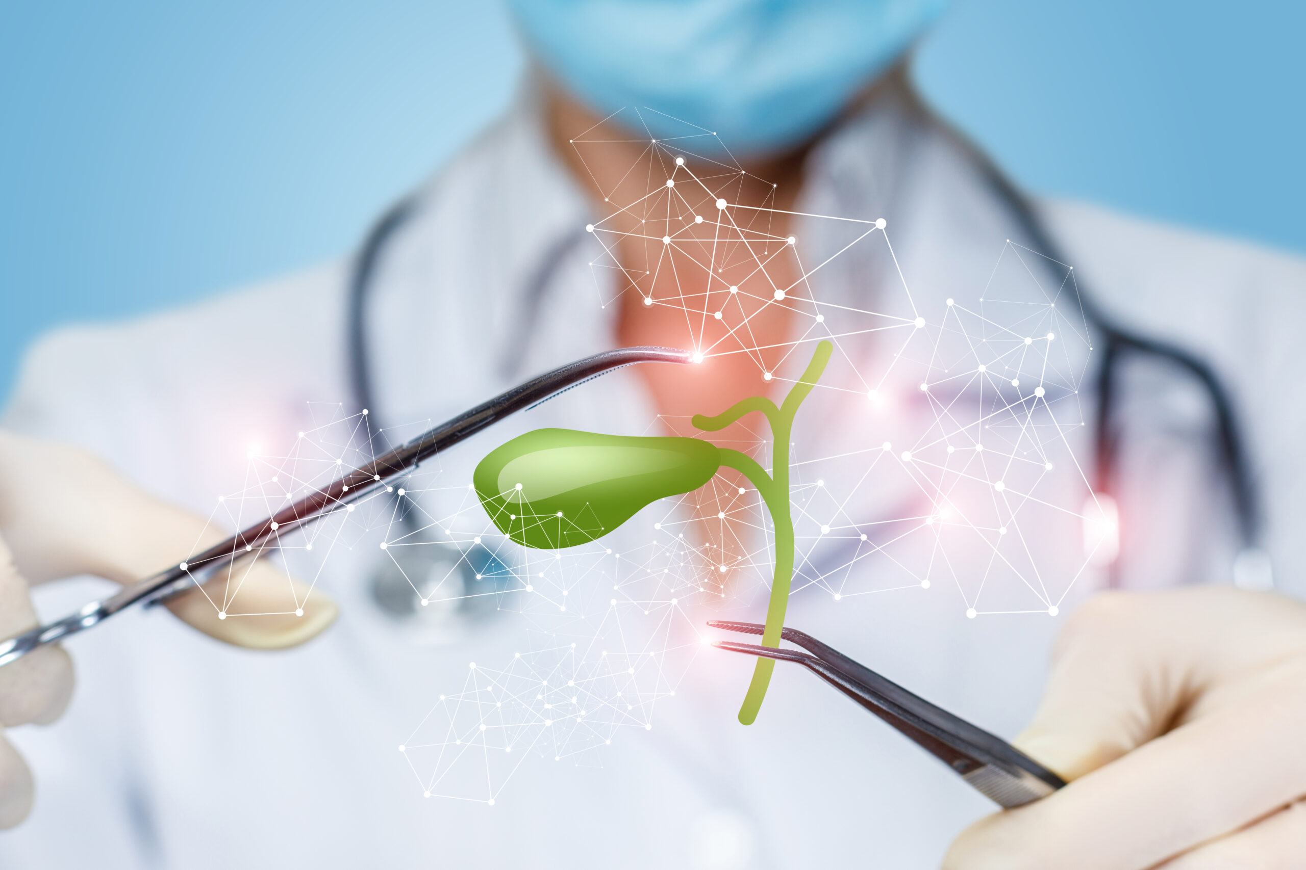 Wilmed pęcherzyk żółciowy